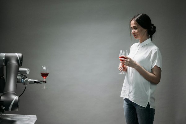 Comment choisir la meilleure agence d'application mobile ?